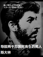 伟人还是暴君？导致两千万国民丧生的男人 斯大林[日语中日双字]