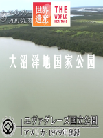 世界遗产 大沼泽地国家公园[日语中日双字]
