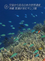 世界遗产 宇宙俯瞰日本Ⅰ 洋流孕育的流冰和珊瑚 [日语日字]