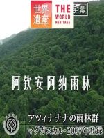 世界遗产 阿钦安阿纳雨林 [中日双语]