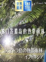 世界遗产 苏门答腊岛的热带雨林[日语中日双字]