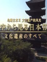 世界遗产 鸟瞰日本Ⅱ 文化遗产的风光[日语中日双字]