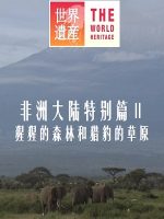 世界遗产 非洲大陆特别篇Ⅱ 猩猩的森林和猎豹的草原[日语中日双字]