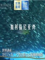 世界遗产 加利福尼亚湾[日语中日双字]