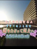纪实72小时 追寻樱花溯河而上 多摩川的三日旅程[日语中字]