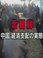 中国支配下的北朝鲜经济 [日语日字]
