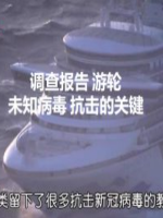 NHK 华语视界 调查报告 游轮 未知病毒 抗击的关键 [英语中字]