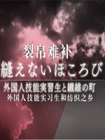 裂帛难补 外国人技能实习生和纺织之乡[日语中字]