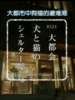 纪实72小时 大都市中狗猫的避难港[日语中字]