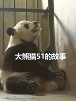 大熊猫51的故事[日语中字]