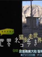猫步走世界 智利[日语中日双字]