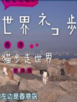 猫步走世界 香港篇[日语中字]