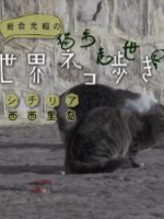 猫步走世界 西西里岛[日语中日双字]