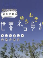 猫步走世界 西班牙安达卢西亚 屋顶上的猫咪[日语中日双字]