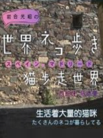 猫步走世界 西班牙马德里篇[日语中日双字]