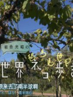 猫步走世界 乌拉圭的猫咪 小猪和牛[日语中日双字]