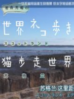 猫步走世界 苏格兰[日语中日双字]