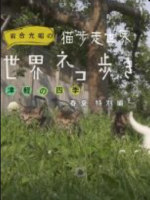 猫步走世界 日本津轻的四季 春夏特別編[日语中日双字]