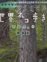 猫步走世界 挪威森林里的猫[日语中日双字]