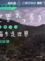 猫步走世界 墨西哥篇[日语中日双字]