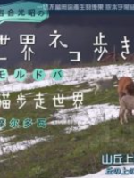 猫步走世界 摩尔多瓦篇[日语中日双字]