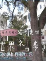 猫步走世界 美国 查尔斯顿篇[日语中日双字]