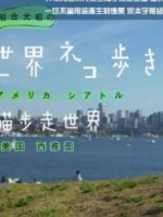 猫步走世界 美国 西雅图篇[日语中日双字]
