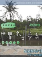 猫步走世界 马来西亚[日语中日双字]