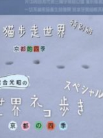 猫步走世界 京都四季篇[日语中日双字]