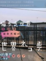 猫步走世界 柬埔寨篇[日语中日双字]