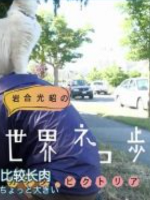猫步走世界 加拿大 维多利亚[日语中日双字]
