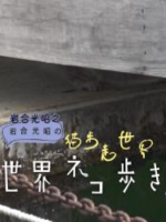 猫步走世界 佛罗里达州 基韦斯特[日语中字]