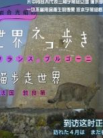 猫步走世界 法国 勃艮第篇[日语中日双字]