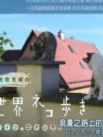 猫步走世界 德国 浪漫之旅[日语中日双字]