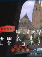 猫步走世界 比利時的运河之猫[日语中日双字]