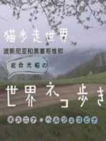 猫步走世界 波斯尼亚和黑塞哥维那[日语中日双字]