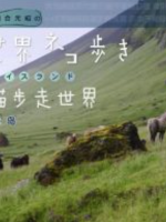 猫步走世界 冰岛篇[日语中日双字]