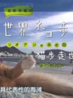 猫步走世界 巴西里约热内卢的“海滩之王”[日语中字]