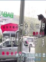 猫步走世界 澳大利亚 墨尔本篇[日语中日双字]