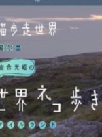 猫步走世界 爱尔兰篇[日语中日双字]