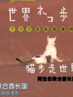 猫步走世界 阿拉伯联合酋长国[日语中日双字]