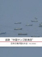 现代大特写 追踪中国渔民珊瑚盗采团[日语中日双字]