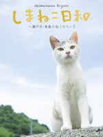 俺是猫 欢迎来俺家玩[日语中日双字]