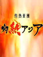 灼热的亚洲 灼热アジア 2010[全4集][NHK][日语中字]