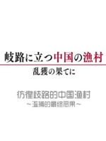 彷徨歧路的中国渔村 滥捕的最终恶果[日语中字]