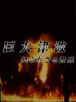 大海啸 不为人知的威胁[日语无字]