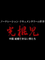 光棍儿 中国结不了婚的男人们 [中日双字]