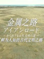 金属之路 鲜为人知的古代文明之路 [日语中日双字]