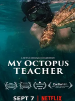 我的章鱼老师 My Octopus Teacher 2020[全1集][南非][英语中字]