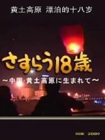 黄土高原 漂泊的十八岁 さすらう18歳～中国・黄土高原に生まれて～2009[日语日字]